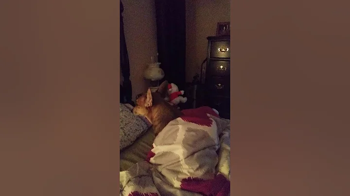 My little sassy