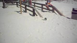 SDC10273.AVI