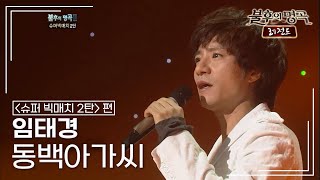 임태경(Im Tae Kyung) - 동백아가씨 [불후의명곡 레전드/Immortal Songs Legend] | KBS 120107 방송