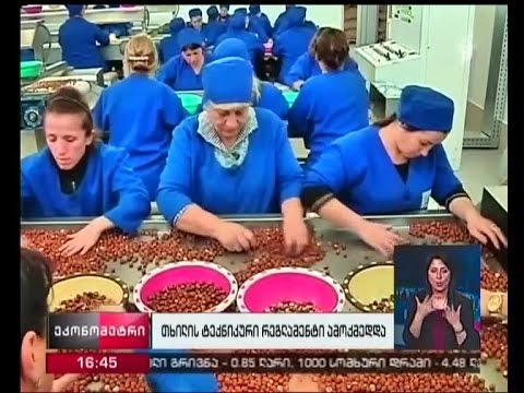 დღეიდან თხილის ტექნიკური რეგლამენტი ამოქმედდა