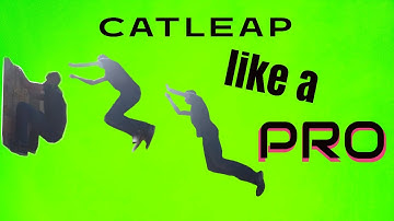 How to Cat Leap | In only 3 minutes!!
