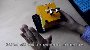 WuLi bot 4 Follow Master Principle