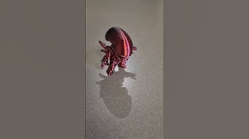 🛸 Xenomorph 3D-print – Griezelig schattig buitenaards model uit het Aliens-universum!