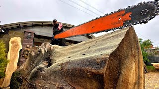 Opened up a huge Elm and here&#39;s what awaited us there