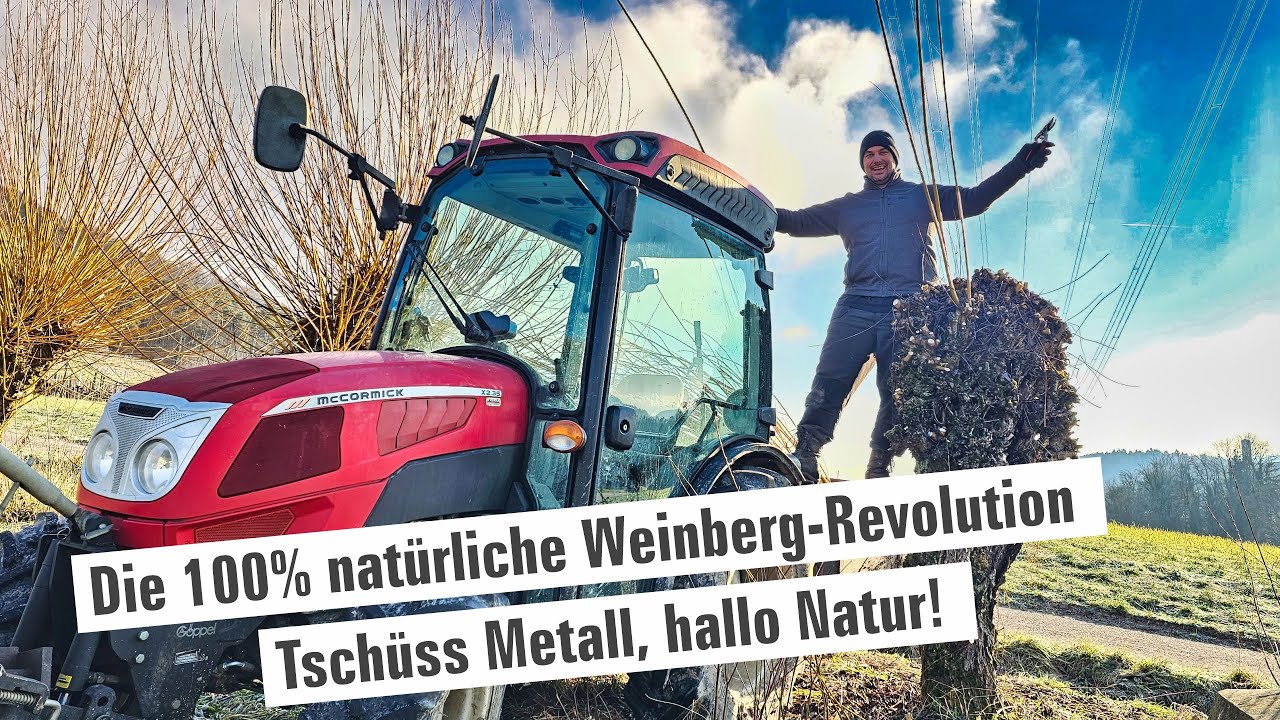 Die 100% natürliche Weinberg-Revolution! 🍇 |  Teil 1 | mit Herzblut zum Wein Vlog #385