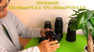 「SONYα6600,E16-55mm/F2.8 G,E70-350mm/F4.5-6.3 G OSSを使ってAF速度、追随性、静粛性、解像度、ボケ」α16