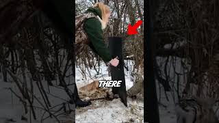 This Rescued Bobcat Did Something No One Expected ❤️🐾.#animals #shorts