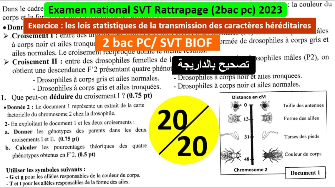 examen national svt 2bac pc rattrapage 2023 bac pc/svt les lois statistiques (تصحيح بالداريجة)