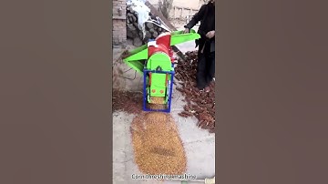 Efficient Corn Harvesting: Witness Our Corn Threshing Machine in Action! 🌽