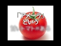 『アメーラ』という甘いトマトがある #静岡あるある #アニメ