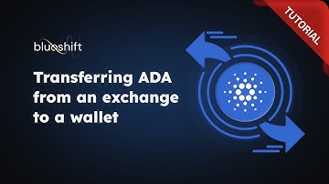 How to Move ADA from Binance to a Cardano Wallet