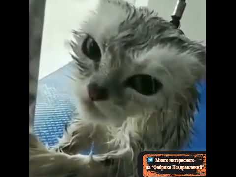 Я знаю кто ты такой!