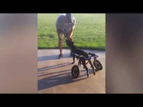 man's best friend 2 National Best Friends Day!