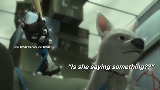 Bolt And Mittens Slowly Becoming Friends For 24 Mins Straight