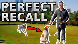 Perfect Dog Recall Training Made Easy