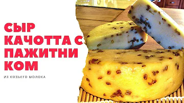 Сыр качотта с пажитником рецепт приготовления из козьего молока в домашних условиях пошаговый рецепт