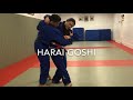 Harai goshi judo throw in depth