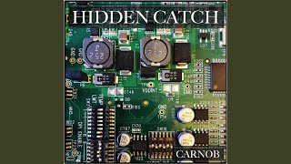 Hidden Catch