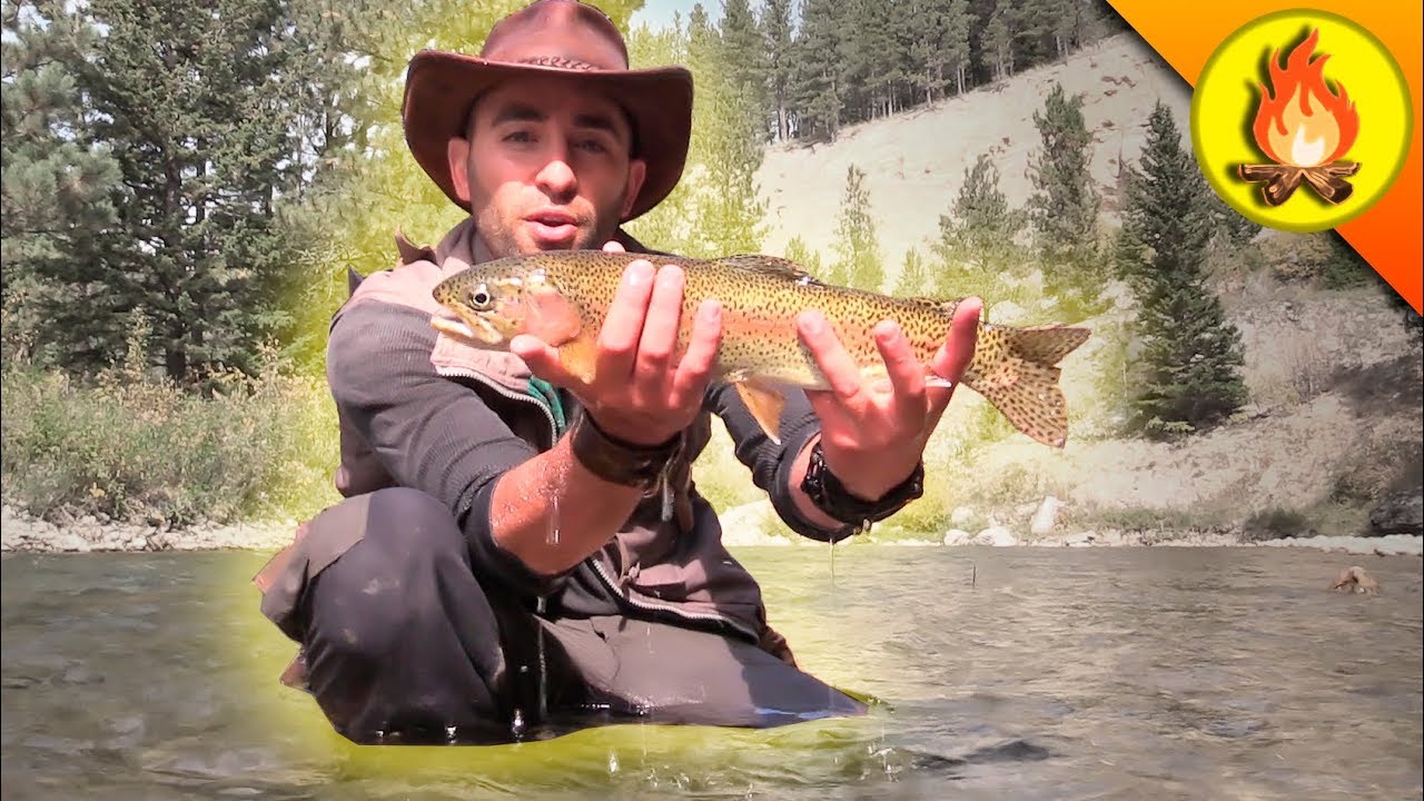 Catching Trout...THE HARD WAY!