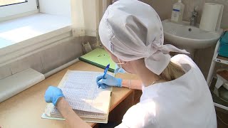 Мышиная лихорадка: как в Рязанской области борются с опасной инфекцией