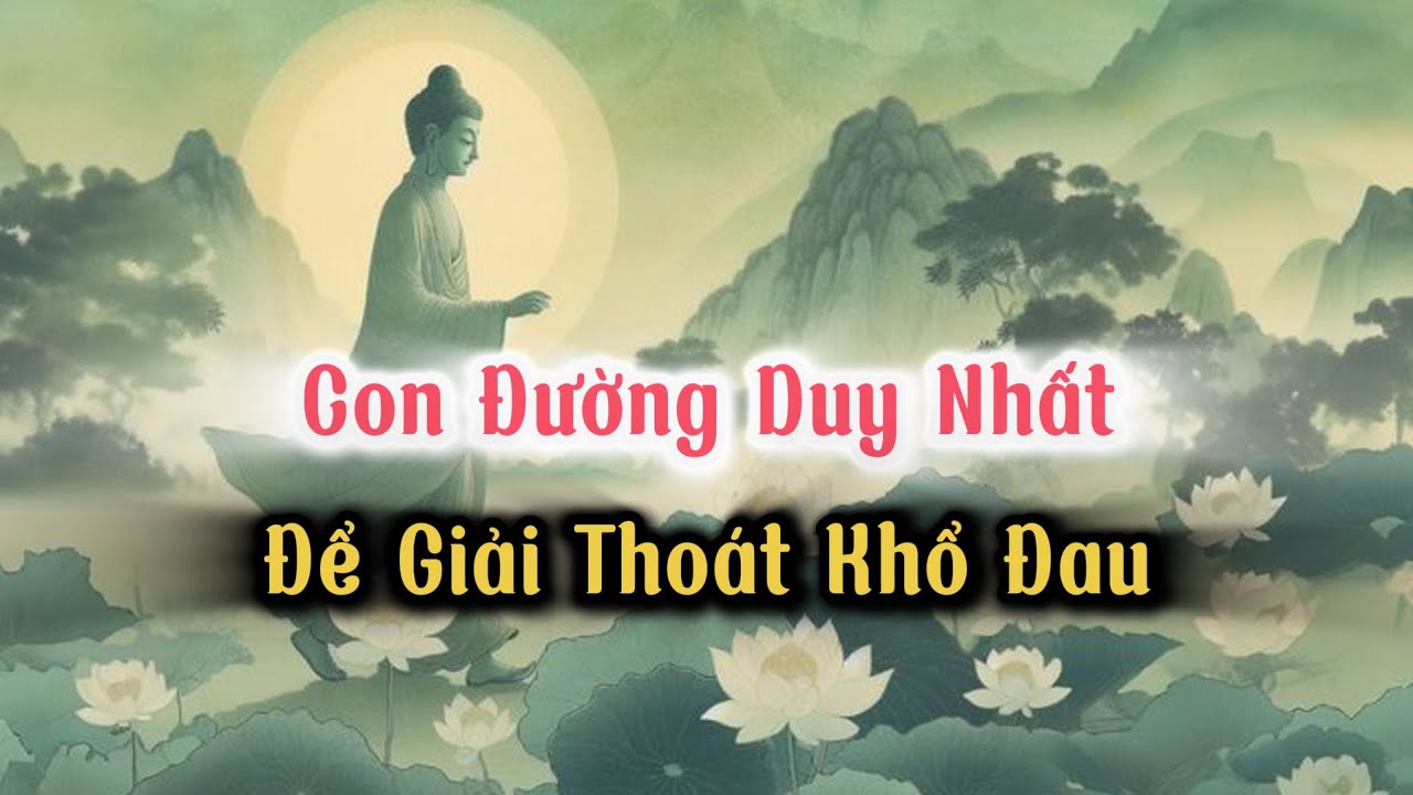 Con Đường Giải Thoát: Bắt Đầu Từ Đâu? #đạolýnhânsinh #phat #phậtgiáo #phatgiao #loiphatday