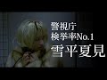 アンフェア the end -雪平と一条の過去-