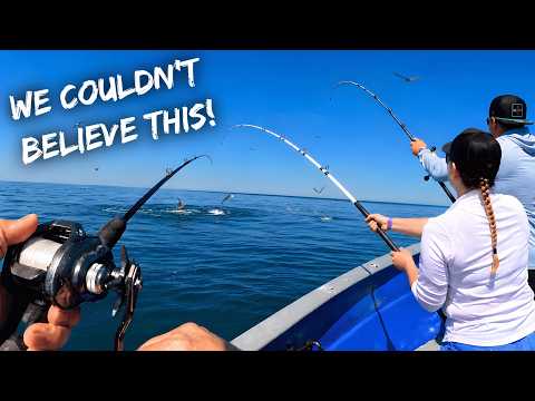 We Stumbled on a UNREAL WIDE OPEN BITE!