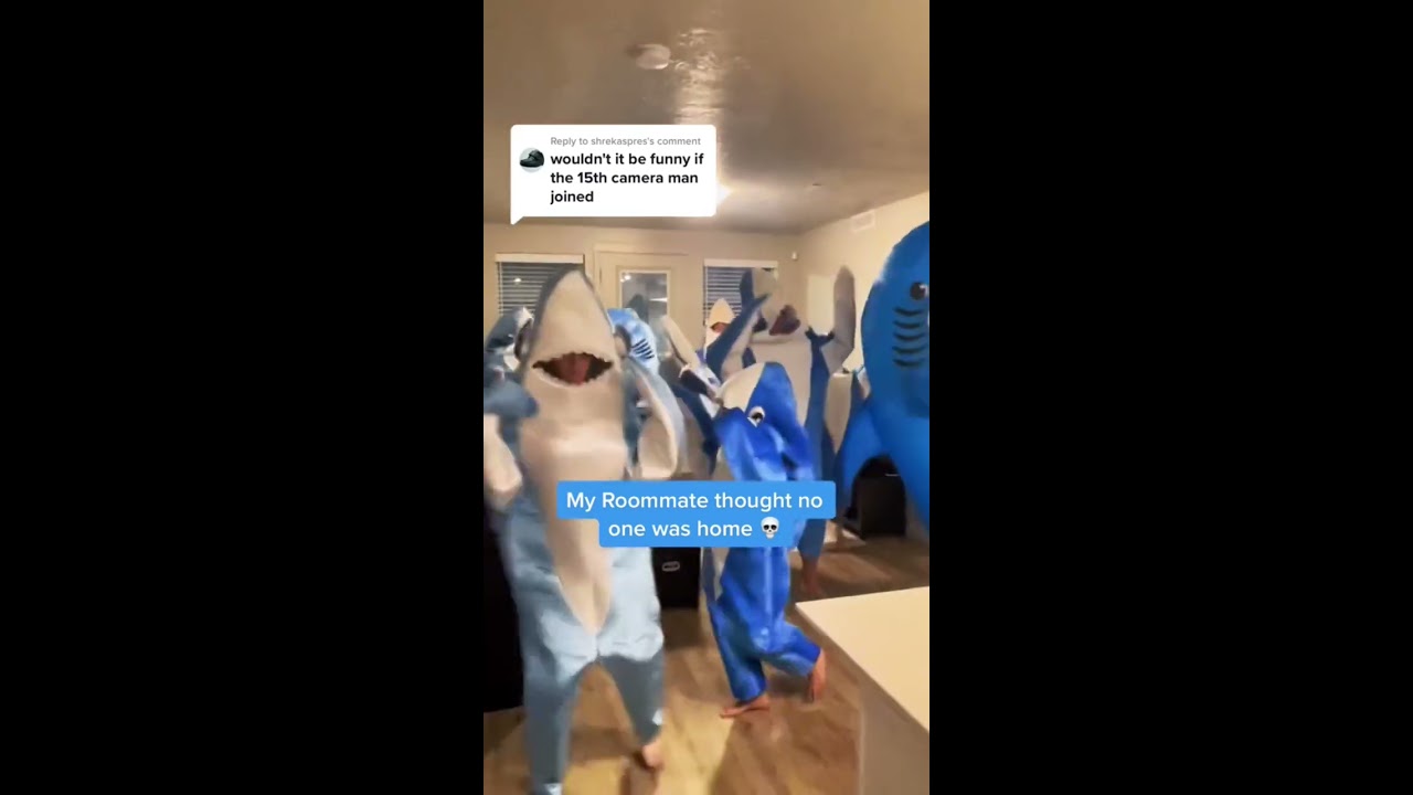 15th Camerman Joins Viral Sharks LeftShark KatyPerry DancingShark DancingSharks CaliforniaGurls