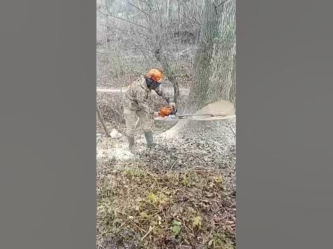 Клин. - YouTube