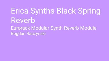 Erica Synths Black Spring Reverb Eurorack Modular Synth Reverb Module