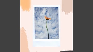 Luxurious Backdrops for End of Year Throwbacks