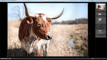 onOne Perfect Resize Preview and Tutorial