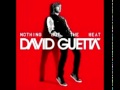 David Guetta ft Jennifer Hudson - Night Of Your Life