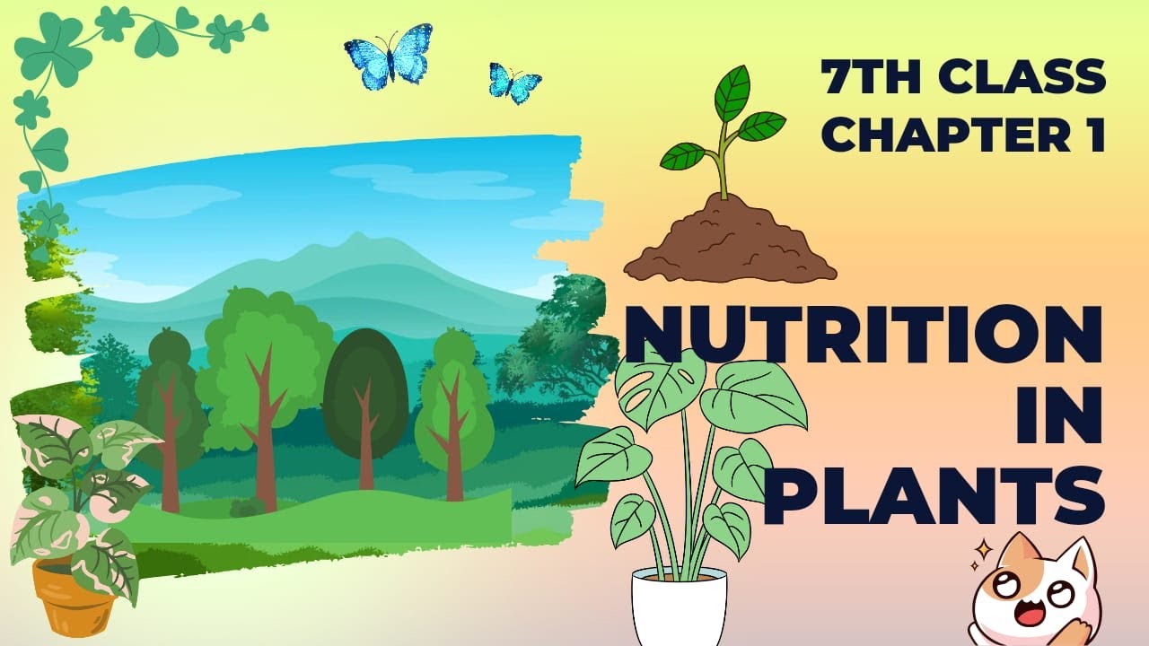 Class 7th Science Chapter 1 🧪 Nutrition in Plants 🌳🌲 Complete Chapter ...