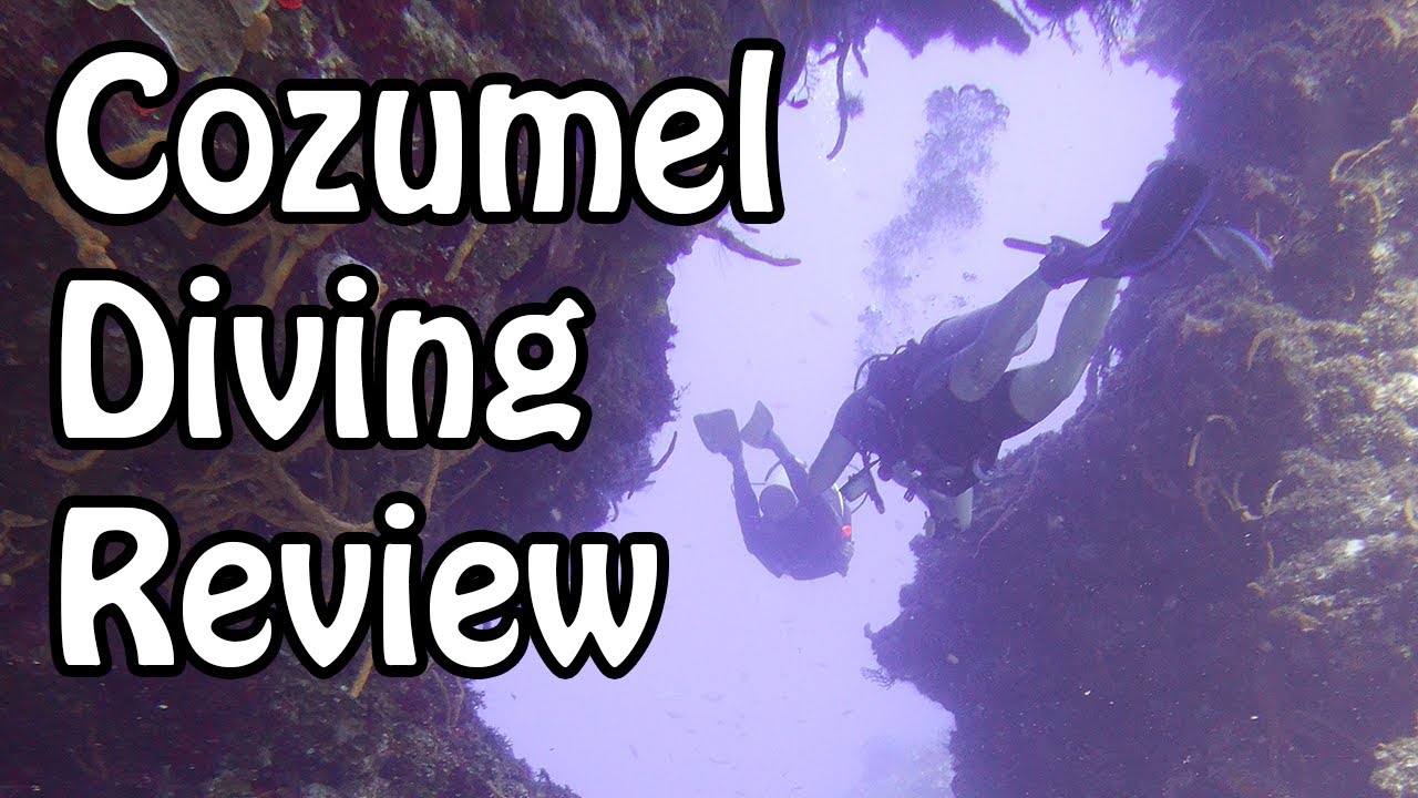 Cozumel Diving Review YouTube