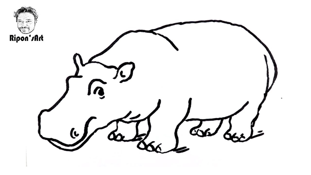 Simple Hippo Drawing