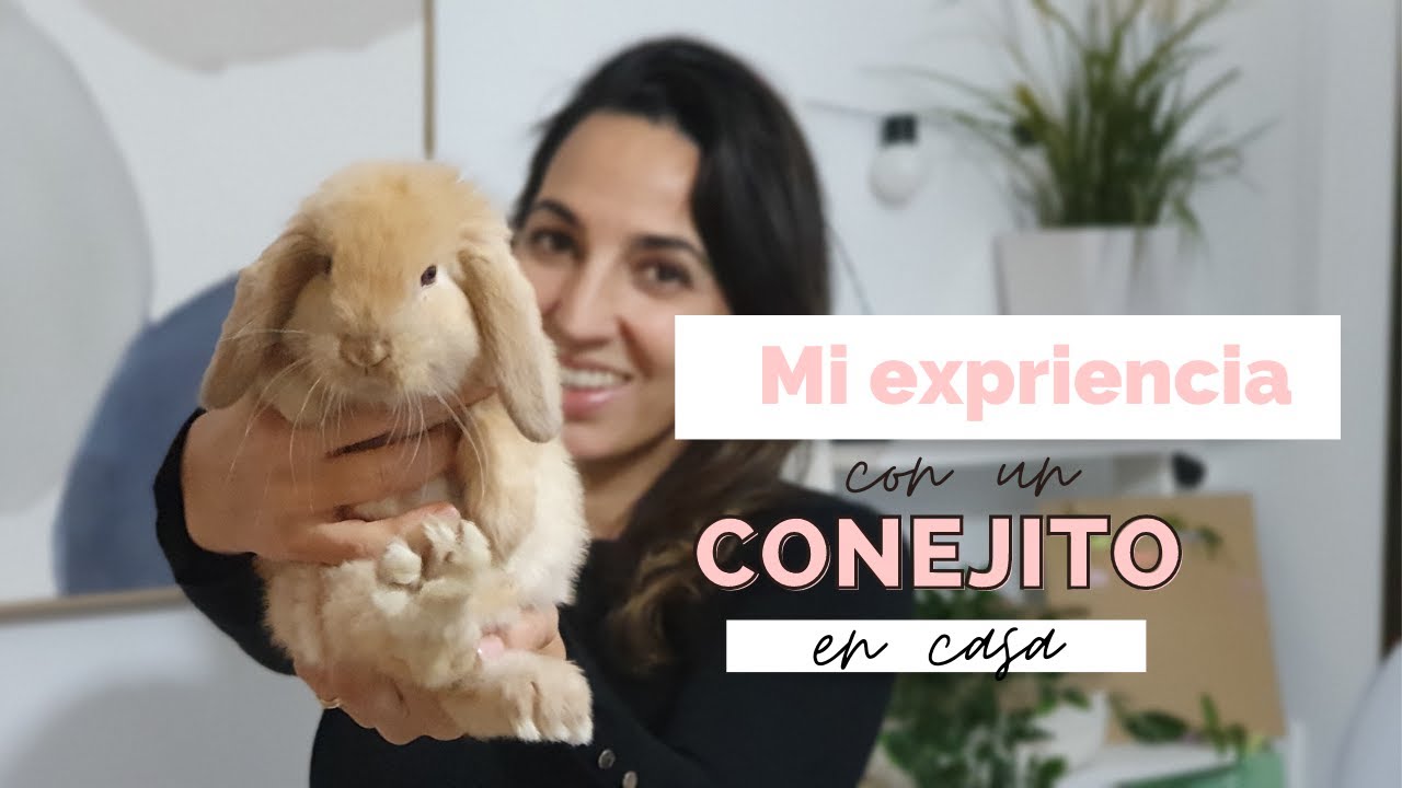 Mi experiencia con un conejo en casa🐰 | LIMPIEZA exprés, ORGANIZACIÓN, alimentación...