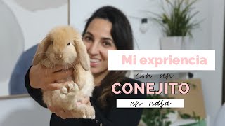 Mi experiencia con un conejo en casa | LIMPIEZA exprés, ORGANIZACIÓN, alimentación...