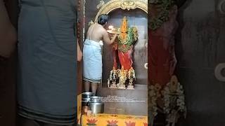 ధాతు నగర్ లో శ్రీ వేంకటేశ్వర స్వామి వారి దేవాలయంలో స్వామివారి ఆరతి #aarthi #venkateshwara #temple