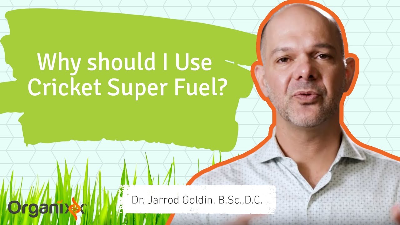 3 Reasons Why You Should Get Cricket Superfuel - NEW Cricket Protein Supplement