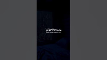 #قرآن #ارحقلبك #تلاوة_خاشعة #راحة_نفسية #قرانكريم #صوت_جميل #قران_كريم #تلاوه