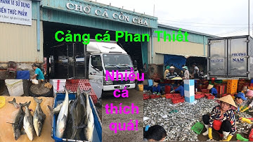 Chợ Cá Cồn Chà Cảng Cá Phan Thiết | QUE HUONG TIVI