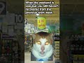 #Work #Job #AntiWork #Weekend #Monday #Funny #Memes #FunnyMemes #WorkMemes #CatMemes #Shorts
