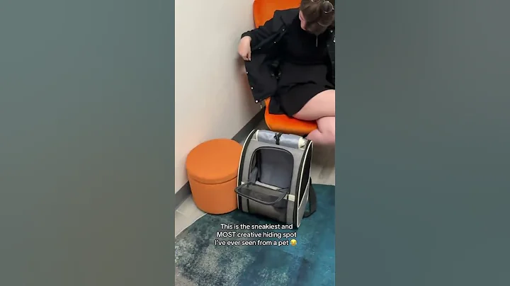 This has NEVER happened to me!! #cat #blackcat #vet #veterinarian #catmom #cats