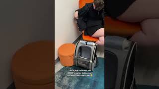 This Has Never Happened To Me