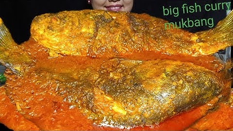Eating Show Rohu Fish Curry|| Fish Curry  Eating Mukbang|| Indian Style Fish Curry 