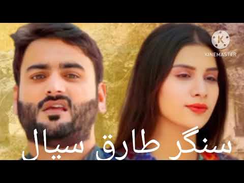 سنگر طارق سیال  نیو سونگ دل ستا نہ ڈھولا