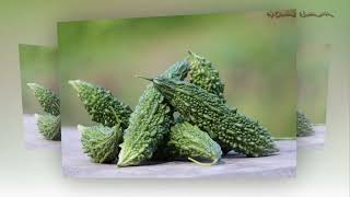 Công Dụng Mướp Đắng Dưới Góc Nhìn Khoa Học