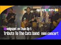 Tribute to the cats band  mini concertevergreen cafnpo radio 5