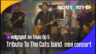 Tribute to The Cats Band - Mini concert⎜Evergreen Café⎟NPO Radio 5